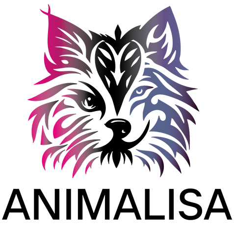 Animalisa : Éducatrice et comportementaliste canine et féline en Maine-et-Loire